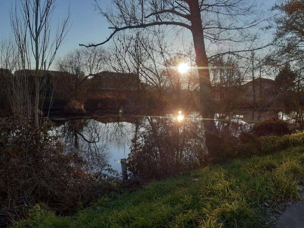 Апартаменты Atico Rosita En Camino De Santiago Хинсо-де-Лимия Экстерьер фото