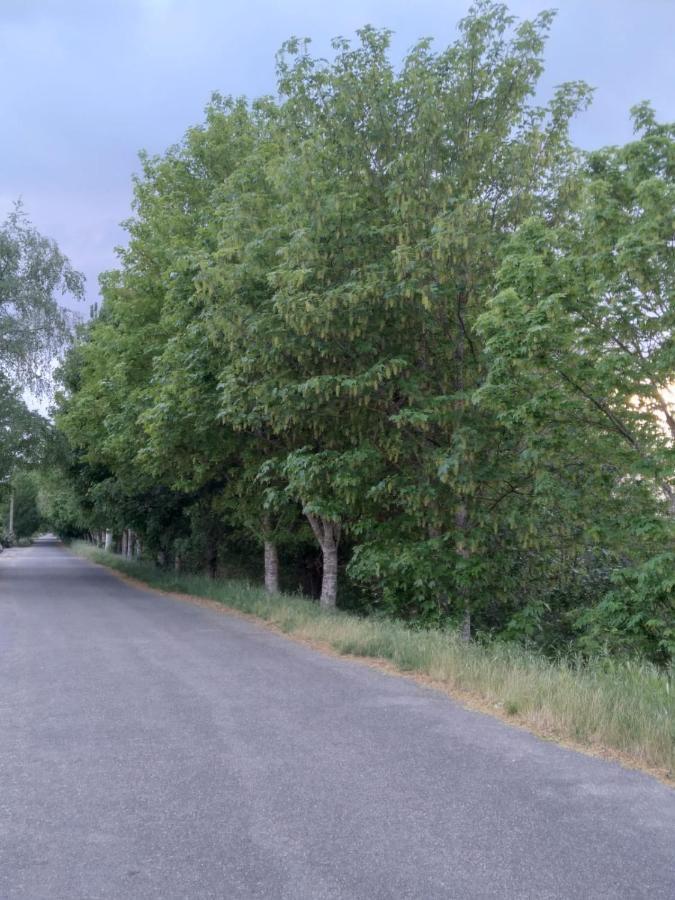 Апартаменты Atico Rosita En Camino De Santiago Хинсо-де-Лимия Экстерьер фото